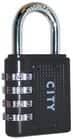 Code 080871 - Standard