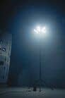 ARTICLE