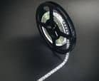 Code 248451 - 120 + 120 LED / mètre