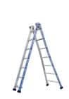 Code 401783 - Échelle transformable 2 plans PLATINIUM