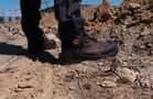 Code 405192 - Chaussure Jalbatisse S3