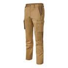 Code 405903 - Camel