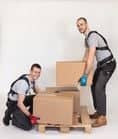 Code 410337 - Exosquelette LiftSuit 2.0