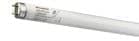 Code 450293 - Tube fluorescent T8
