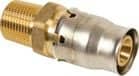 Code 458498 - Mâle fixe