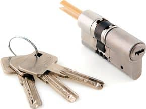 Cylindre pour serrure connectée SOMFY