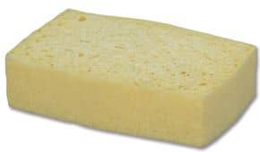 Éponge bordée
