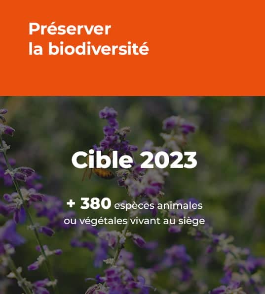 Image Foussier