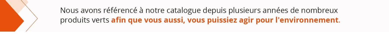 Encart référencement