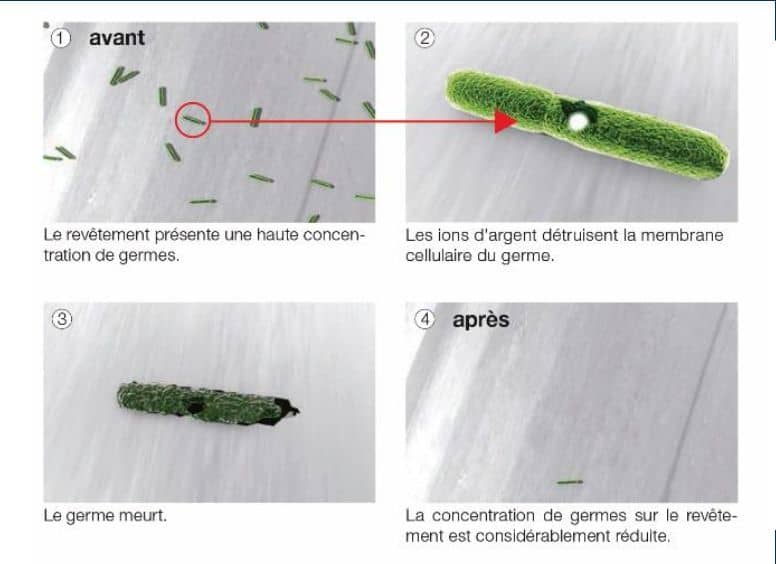 Image Foussier