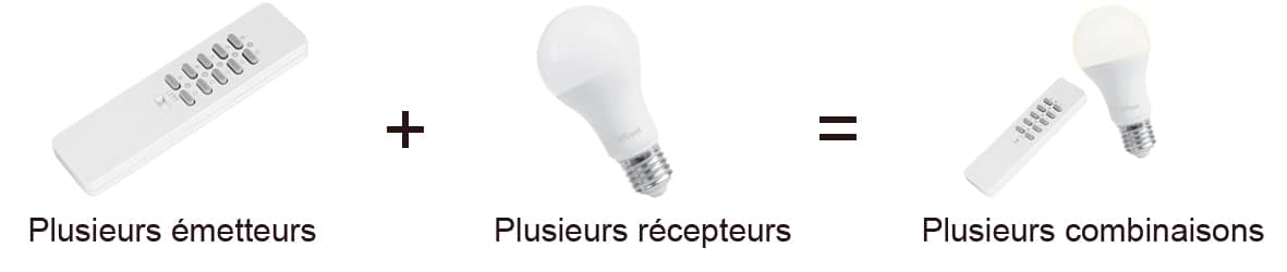 Image Foussier