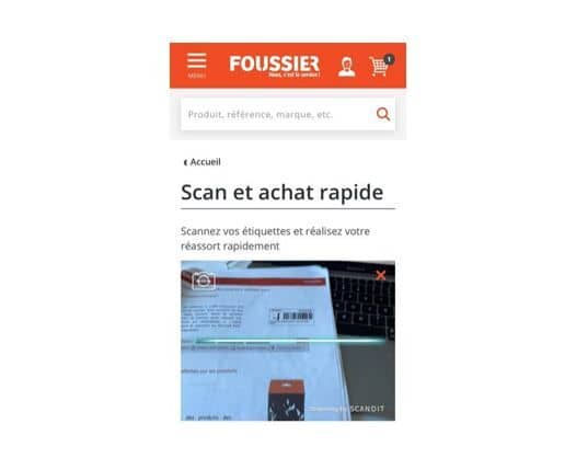 Image Foussier